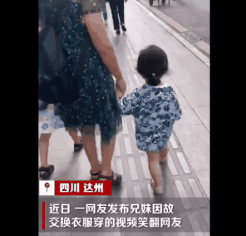 8点见|【8点见】损失上亿！网上“养猫”6000多人被骗