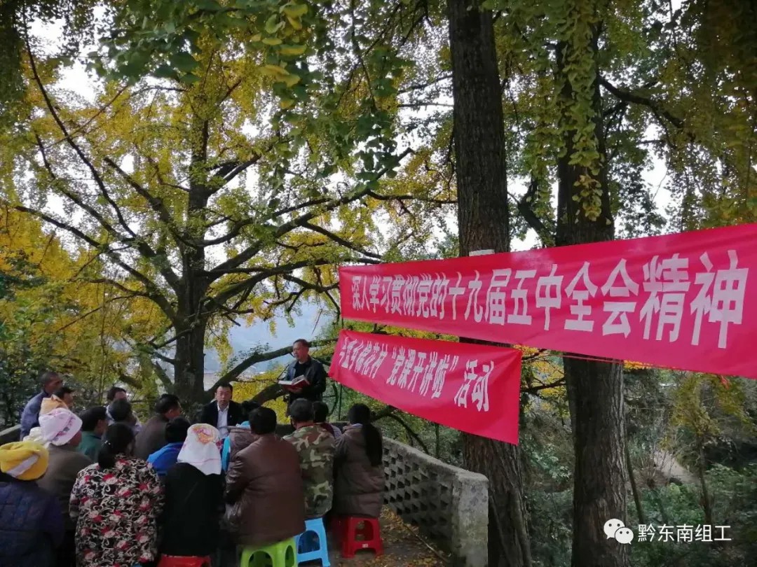 台盘乡棉花村党支部书记王川给老百姓讲授“银杏树下的党课”。