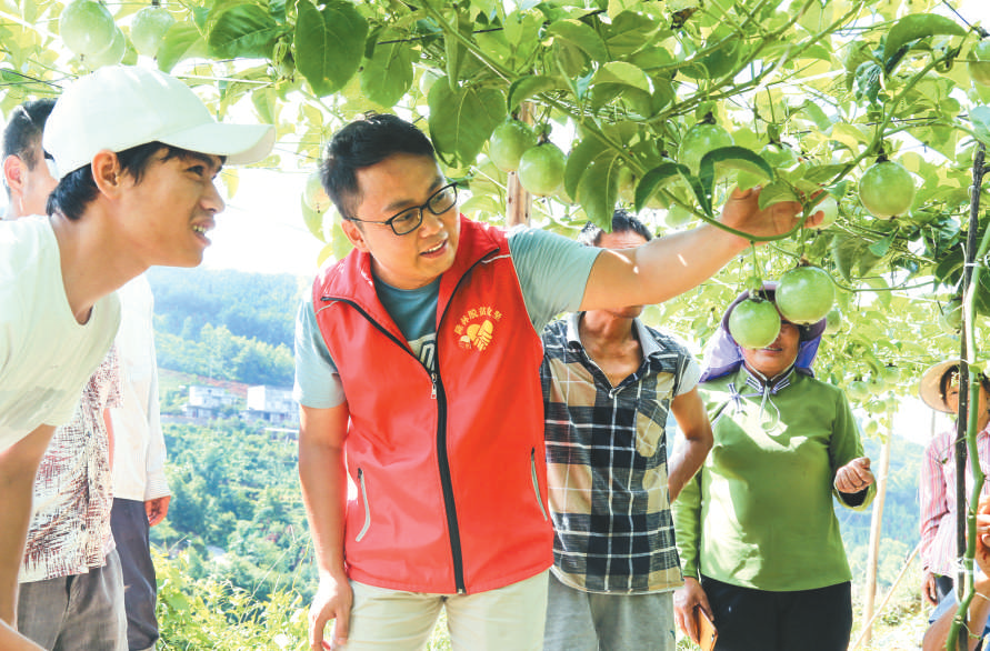 广西隆林县者浪乡者徕村坚持党建引领，采取“公司+农户”方式，引导贫困群众发展特色种植产业。图为该村第一书记与果农一起察看百香果长势。