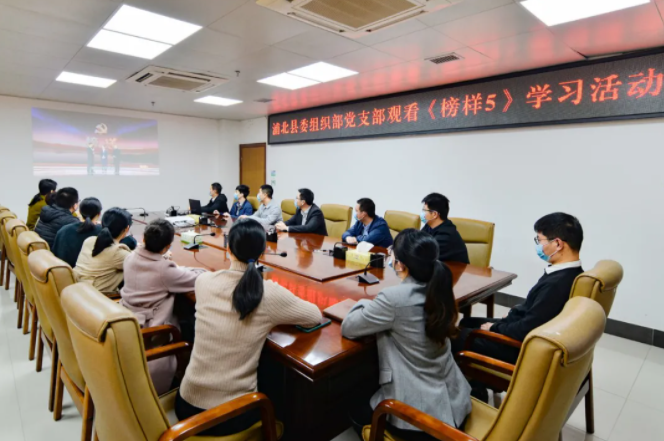 钦州市浦北县委组织部党支部组织党员集中收看《榜样5》专题节目