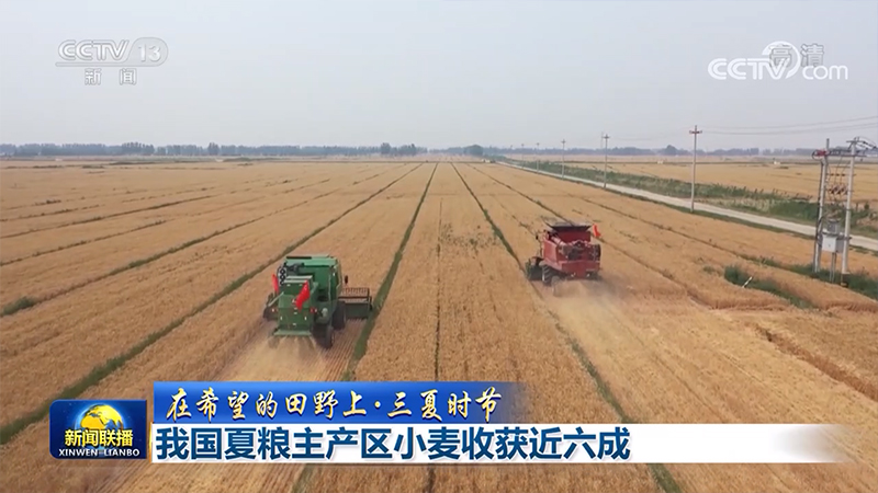 【在希望的田野上·三夏时节】我国夏粮主产区小麦收获近六成