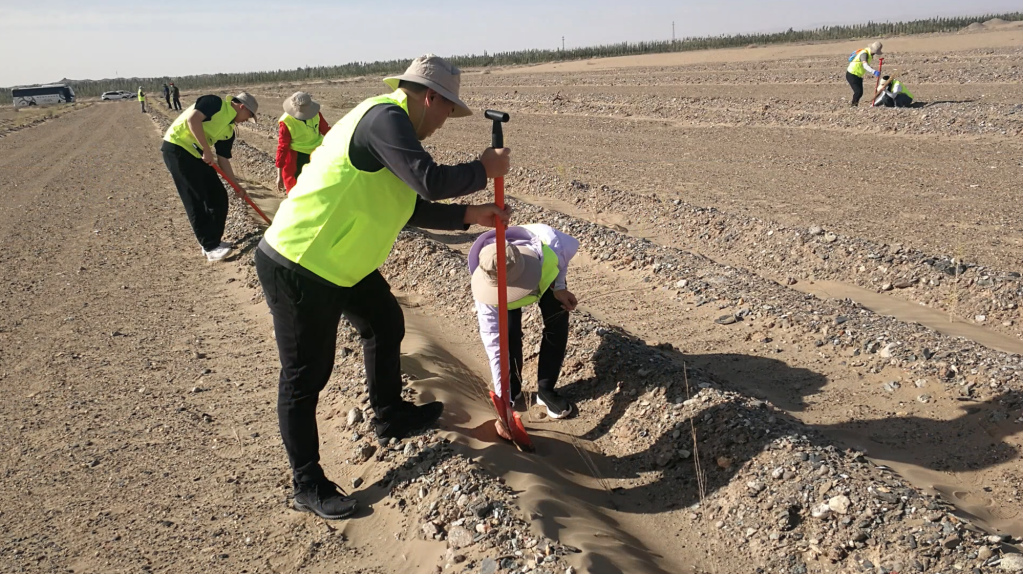 “大地妈妈”和她的一千万棵树 图1