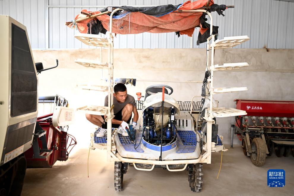 大学生“新农人”的田园创业梦 图5