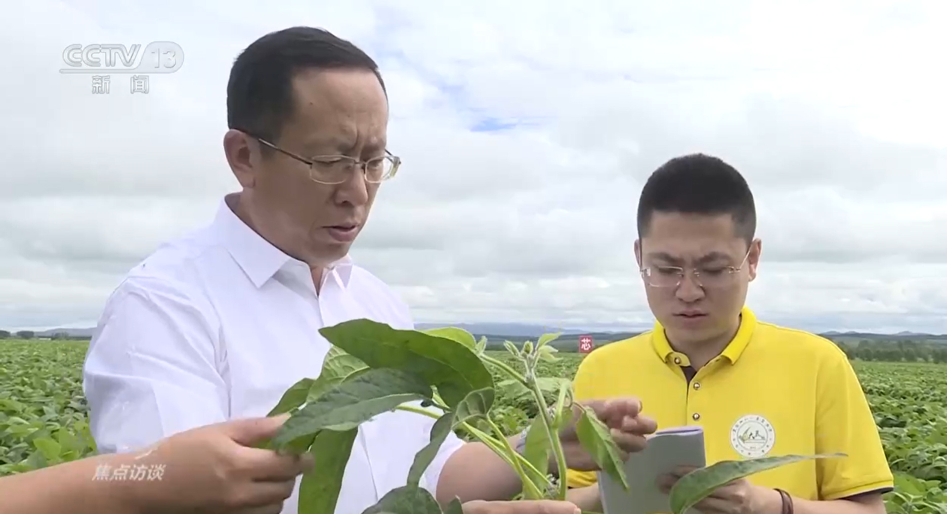 焦点访谈：深耕科技沃土 培植智AG真人慧农业(图4)