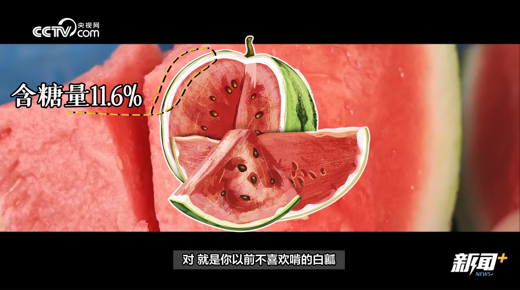 当水果走起“纯甜风” 网友：现在的水果怎么越来越甜了？？开云体育官网(图3)