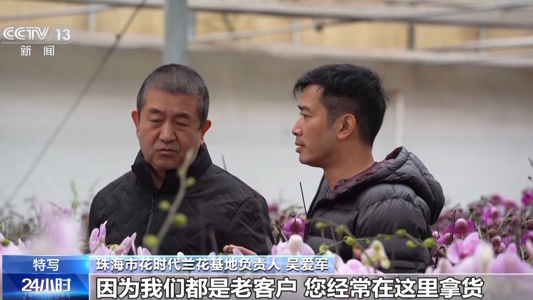 为居民送去春天的芬芳_看澳门“花先生”如何搭上政策快车 图1