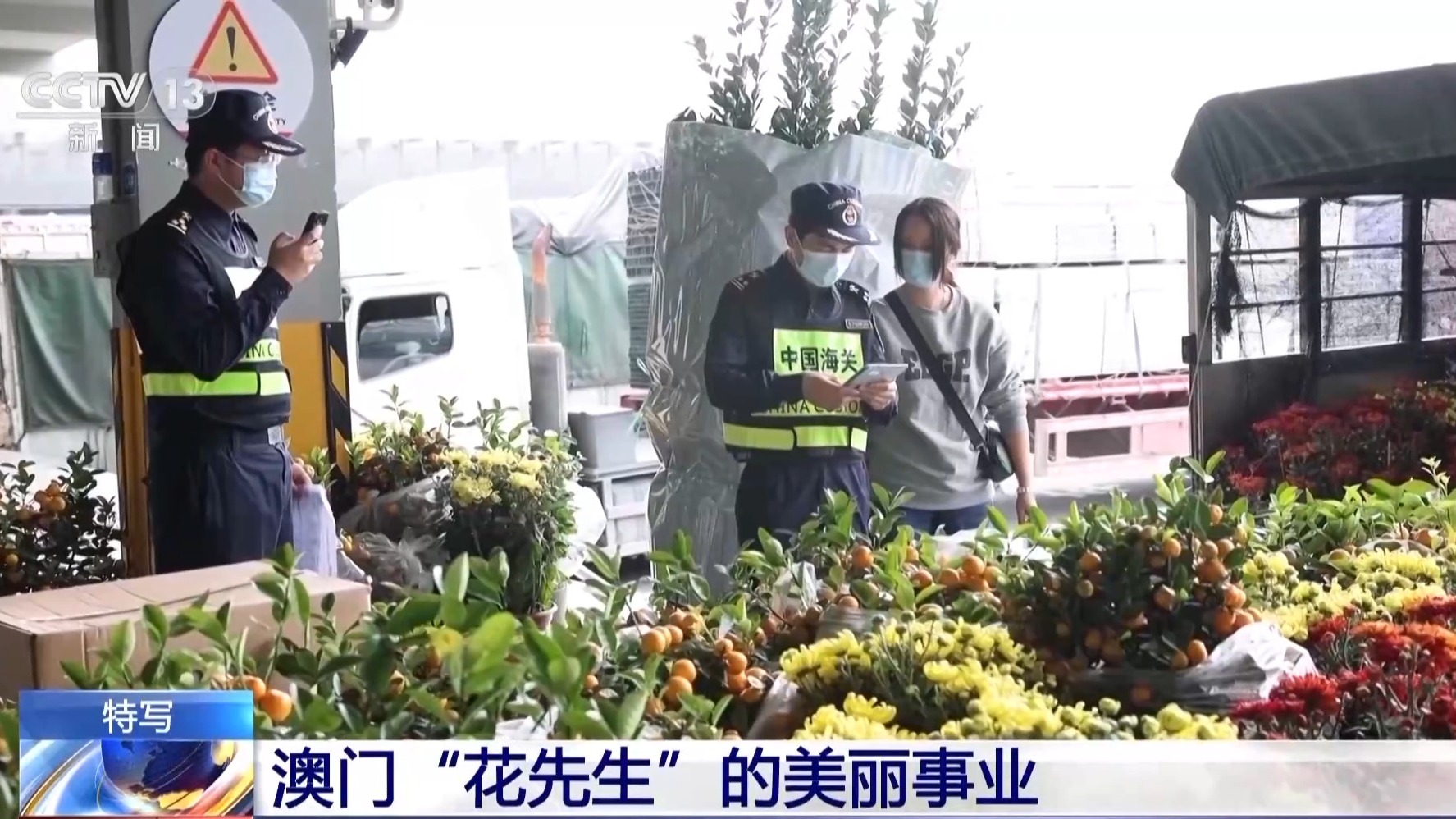 为居民送去春天的芬芳_看澳门“花先生”如何搭上政策快车 图5