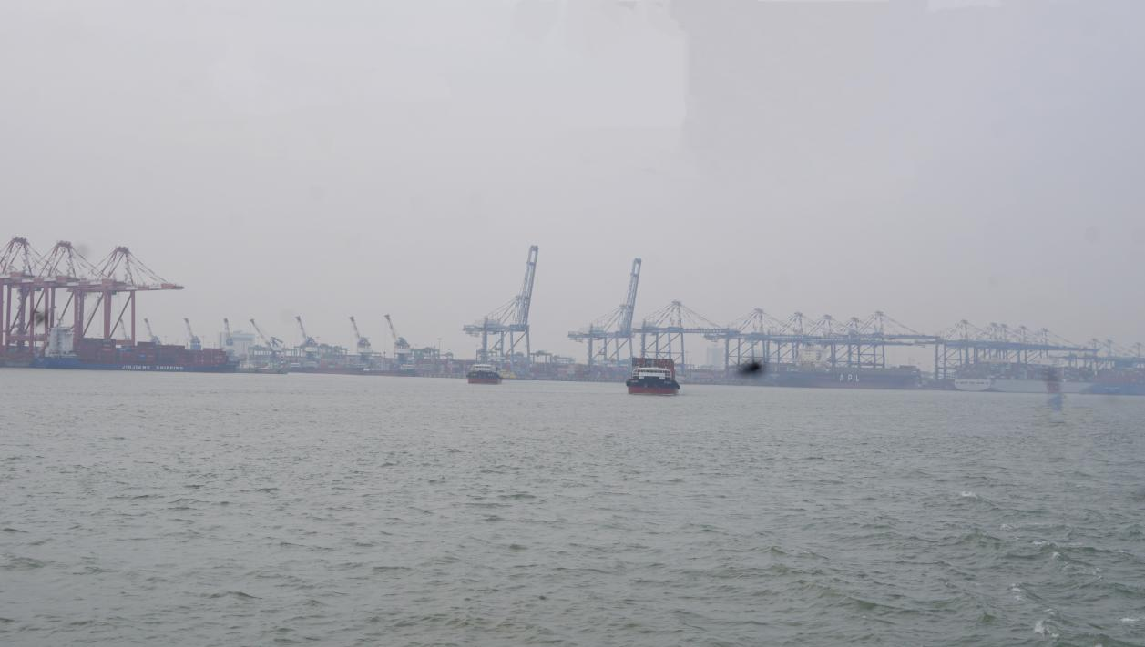 远眺南沙港实景