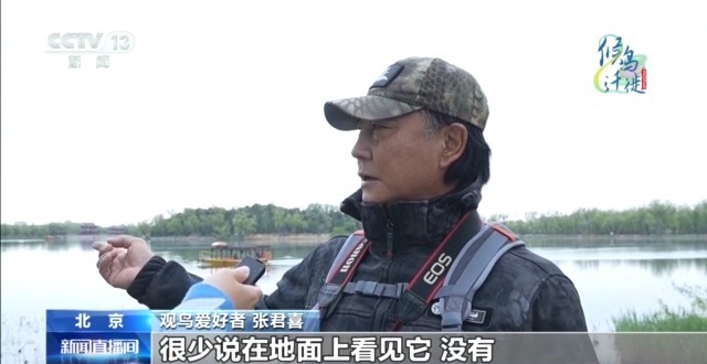 必赢入口限定“皮肤”已上线 北京雨燕和古建筑的适配度拉满了(图3)