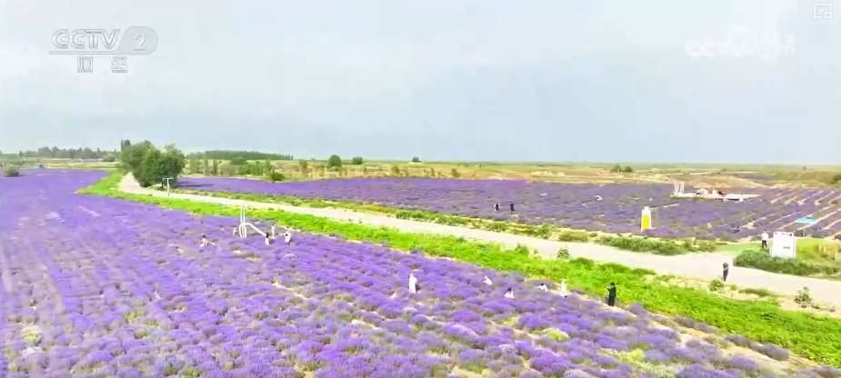 古老习俗“活”起来、“避暑+探险”“火”起来 暑期文旅热力全开(图10)