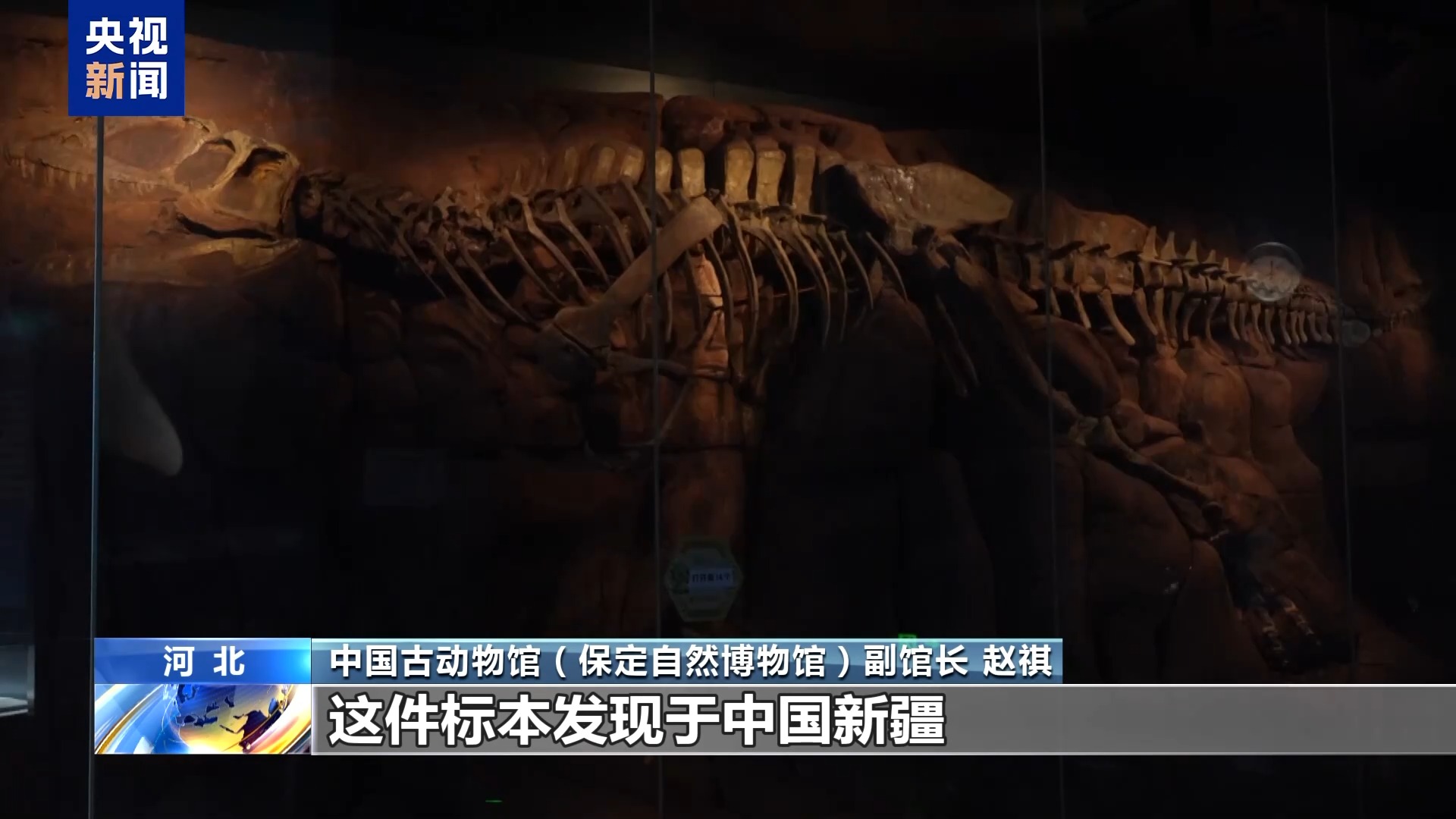 不朽情缘官方网站暑期探|S货你是不是欠C了有肉|秘走进博物馆