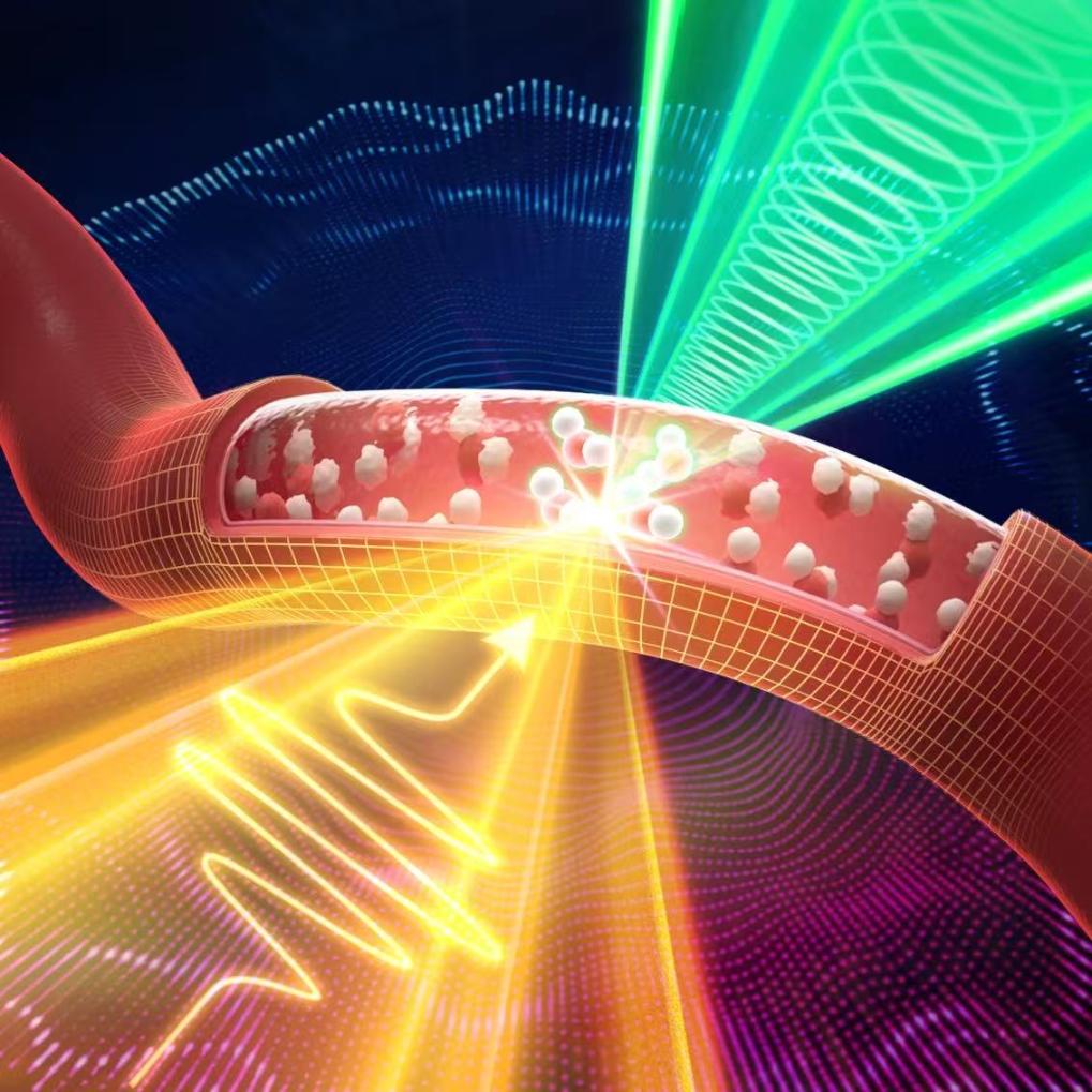 尊龙凯时-人生就是博!z6com太赫兹+声波！|美里真里|我