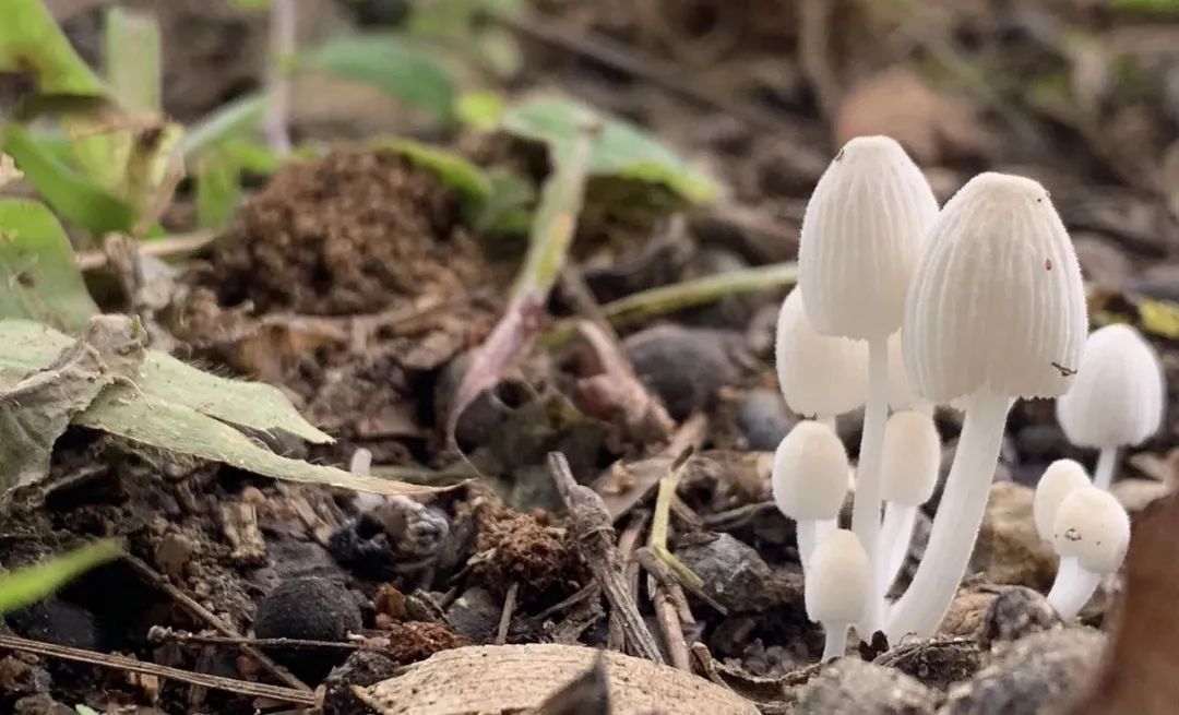 暴雨过后必看!这7类食物一口都别碰,提醒→