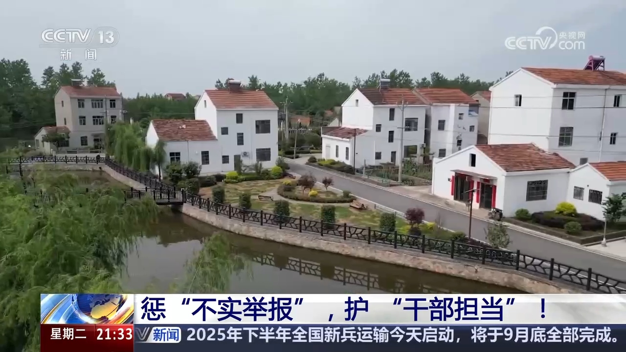 新闻1+1｜惩“不实举报”护“干部担当”！