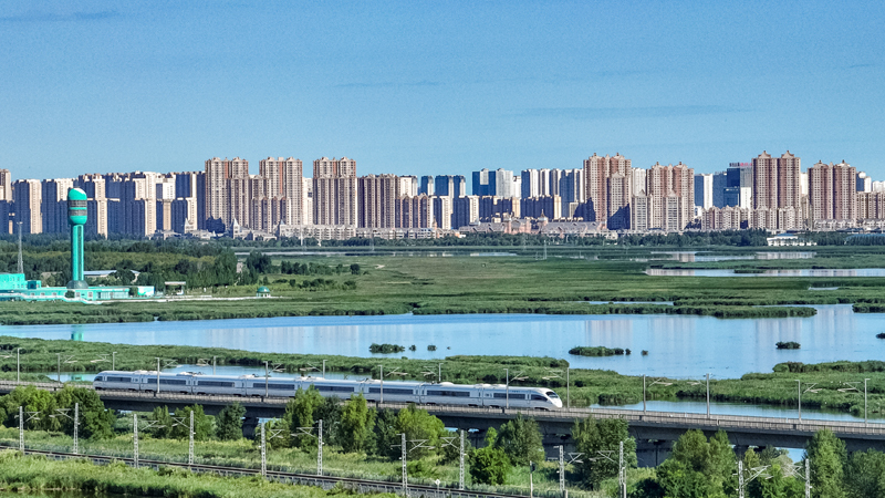 2025年8月17日，一列動車組列車駛過大慶東站。