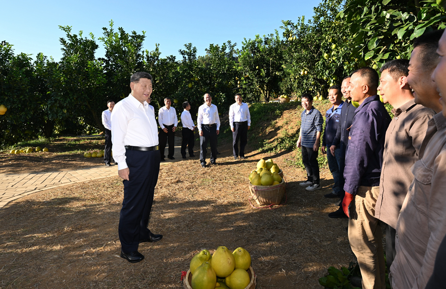 　　11月7日至8日，中共中央總書記、國家主席、中央軍委主席習(xí)近平在廣東考察。這是7日下午，習(xí)近平在梅州市梅縣區(qū)雁洋鎮(zhèn)南福金柚種植基地考察時，同果農(nóng)和農(nóng)技人員親切交流。