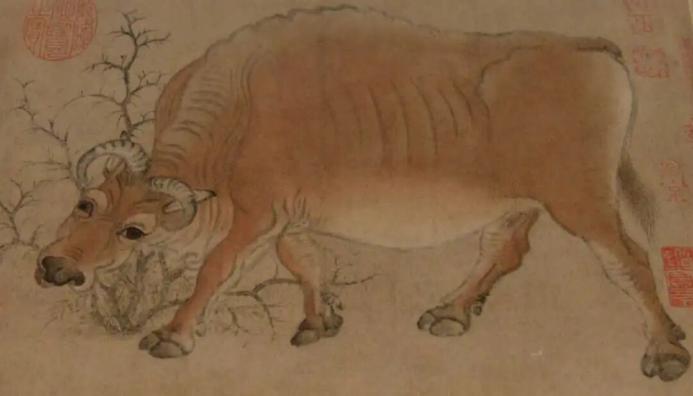 唐 韩滉《五牛图》卷