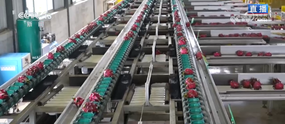 2025“三农”答卷卫星“看”庄稼、大数据“算”收成农业发展向“新”而行(图12)