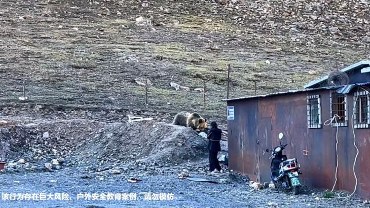 女子近距离观察藏马熊被叫回 去年至少发生