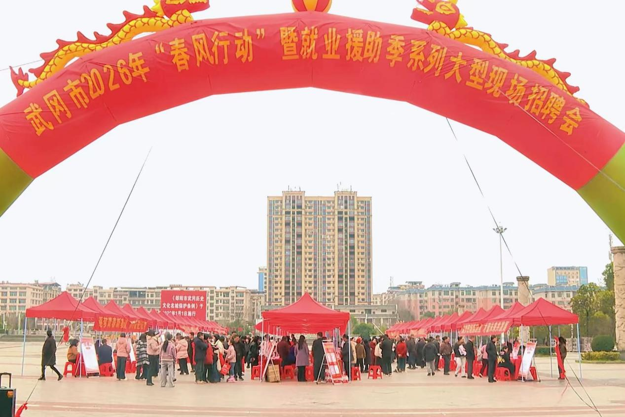 武冈市2026年“春风行动”大型现场招聘会现场