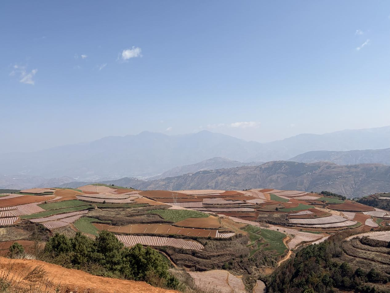 东川红土地景观