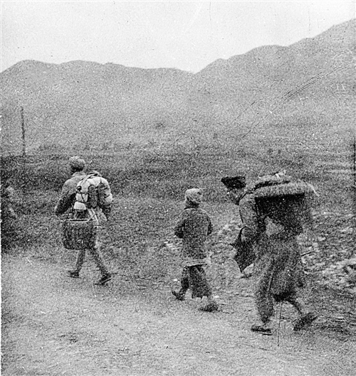 揭秘 炮九团南川剿匪记