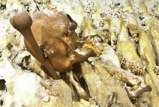 墨西哥1.3万年前女孩头颅 揭示美洲土著起源(高