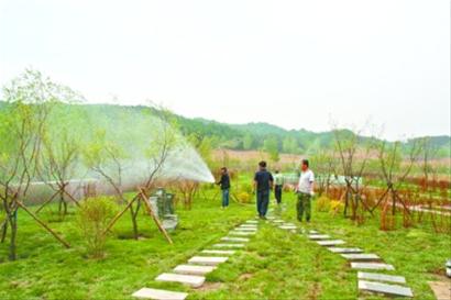 上下齐抓美丽乡村建设