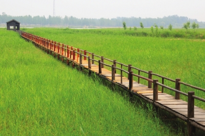 大河之洲 长寿封丘