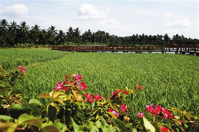 琼海旅游 新营销对接新市场