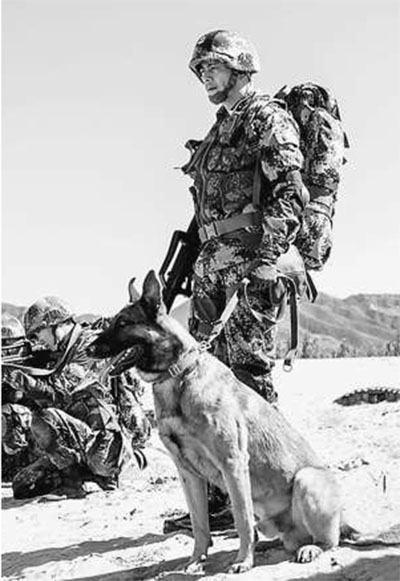 神犬奇兵短剧免费观看，一段人与犬的深情故事，神犬奇兵人与犬的深情故事免费短剧观看