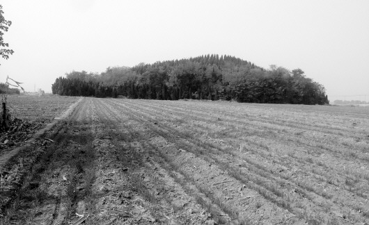 齐威王:从谏如流 法治立威