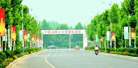 李营街道:南城北林发展绘声绘色