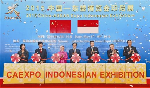 陈武率团访问印度尼西亚