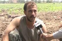 Egyptian farmers expect new president to protect agriculture