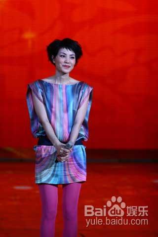 Pop singer Wang Fei