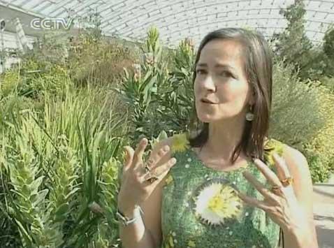 A Welsh artist has designed a range of eco-clothing that is not only creating a buzz in the fashion world, but is also very attractive to bees and butterflies.