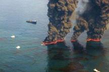 Gulf of Mexico one year after oil spill