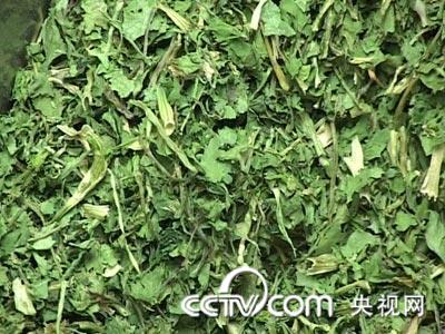 [3月18日预告]脱水蔬菜、大蒜干制品的加工制