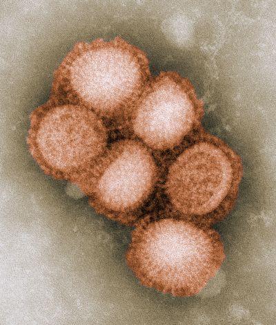 The mutation of the A/H1N1 flu virus has raised concerns around the world.