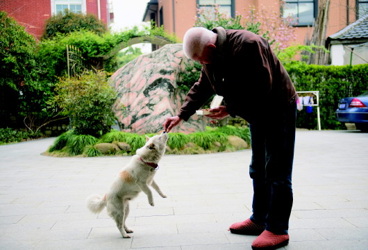 在浙江省杭州市余杭区瓶窑镇港东村，76岁的王嘉宝在院子里把吃剩的菜用来喂狗（3月29日摄）。该村有十多位“抱团养老”的老人，每天一起逛街买菜、跳舞、打麻将，如同多年老友。 新华社记者翁忻旸摄