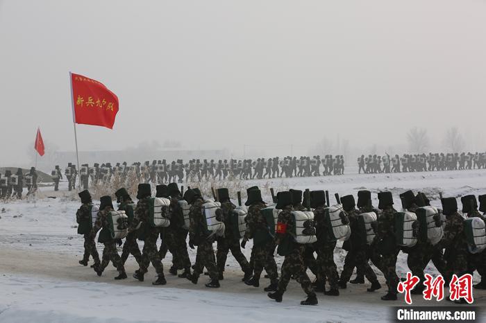 æ­¦è­¦æ°çåµå¢æ»é-20âç»ç»æ°åµå¼å±éè¥æç»æ·¬ç¼è¡æ§èæ°