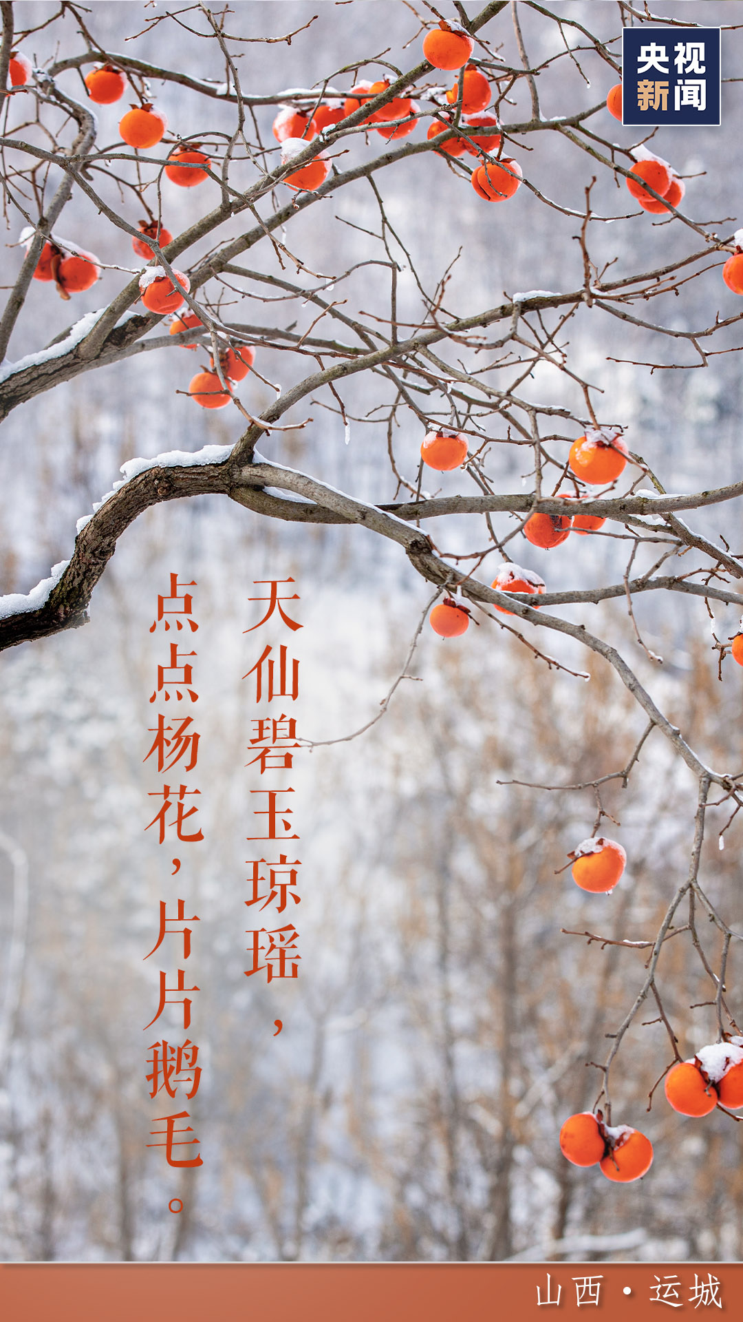 蟾宫曲·雪[元]薛昂夫天仙碧玉琼瑶,点点杨花,片片鹅毛.