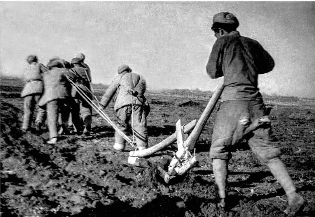 新疆生产建设兵团的体制与运行研究　Amazon4万円 新疆生产建设兵团的体制与运行研究 Amazon4万円 新疆生产建设兵团