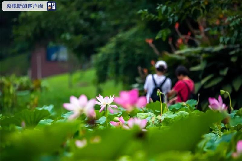 出游前了解一下 江苏这些旅游景区室外区域恢复开放