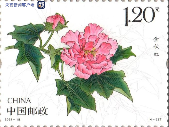 1-52 掛軸 上島素水 秋草 木箱 双幅 紅葉 芙蓉 菊 桔梗 花 1-52 掛軸