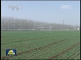 山东：建设稳产高产大粮仓