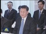 习近平同荷兰首相举行会谈 决定建立开放务实的中荷全面合作伙伴关系