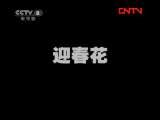 迎春花 2集
