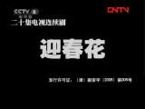 迎春花 7集